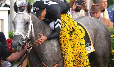 preakness stakes current odds.